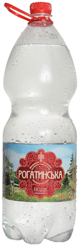 Вода мінеральна лікувально-столова РОГАТИНСЬКА сильногазовано 2л